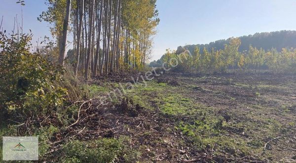 Kaymak Emlak Tan Köye Yakın Satılık Tarla