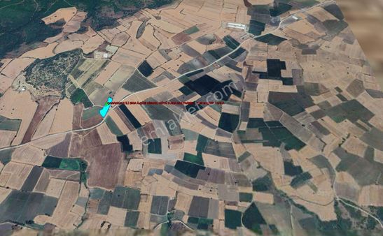 Biga Hisarlı Köyünde Köy Asfaltına Cephe Elektrik Ve Şebeke Suyu Mevcut 4.250 M Tarla