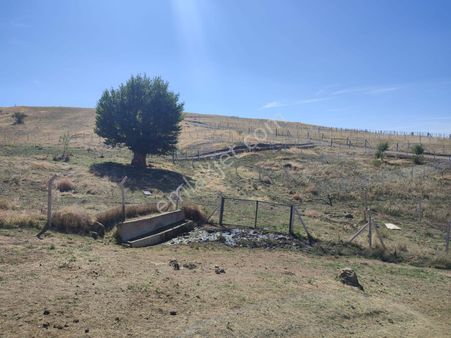 Aydıncık’da Doğa Manzaralı Hobi Bahçeleri