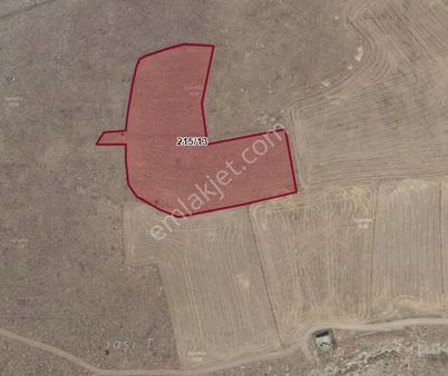 Satılık Tarla Aksaray İlçegülağaç Kızılkaya Mah