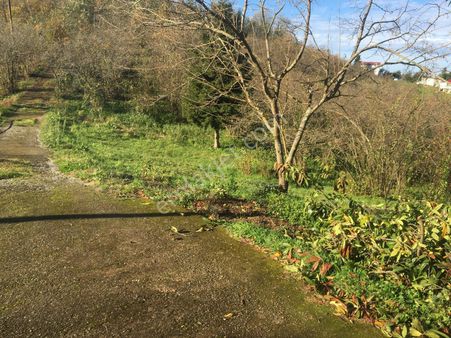 Bir Fırsat Daha Arazi Fındıklık