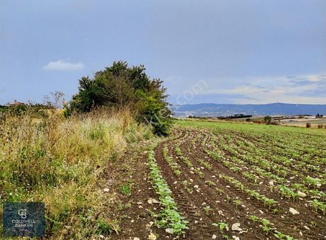 İzzettin De İmara Yakın Tek Tapu Yüksek Konumda