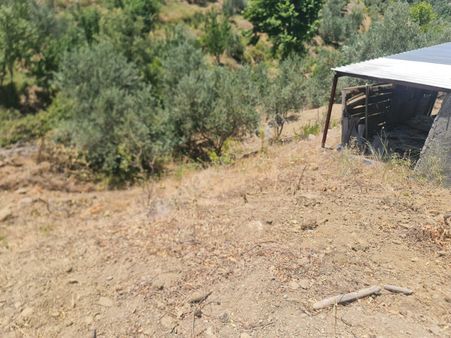 Alanya Sapadere Beldibi Satılık Arsa