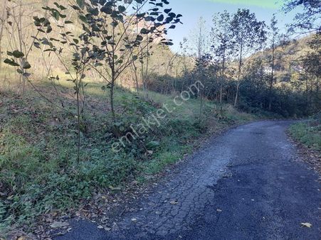 Öztürk Kardeşler Gayrimenkul'den Ortahisar Beştaş Mahallesinde Satılık 2782 M2 Arsa