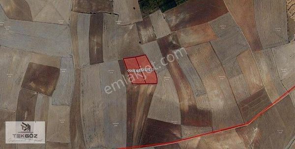 Tekgöz'den Satılmışoğlu'nda İmara Yatırımlık Sulak Araziler