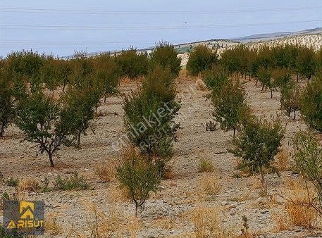 Arısüt Emlaktan Satılık Bademlik