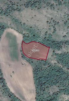 Kırklareli Merkez Erikler Köyü Yatırımlık Tek Tapu 9.504 M2 Satılık Tarla