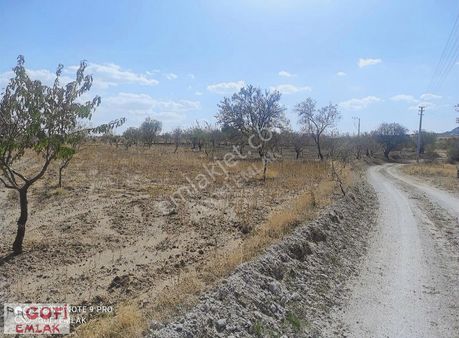 "gofiemlak"11300 M2 Yeni Cevre Yolu İmarına 300mt