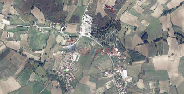 Sakarya Kaynarca'da Satılık 856 M2 Fındıklık