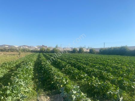 Özveri Emlak'dan Aksu İhsaniye'de 3200 M Satılık Tarla