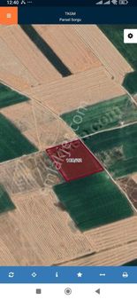 Asel'den Altıntaş/altıntaş Köy/tarla/anayola Sınır 19.258 M2