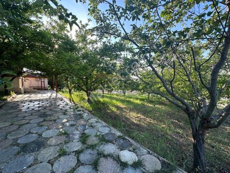 Güvenay - Çorum Şeker Fabr. Arkası Burun Köy Mevkide Satılık Bağ