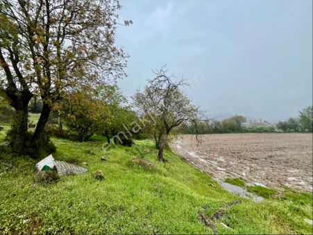 Rw Nova’dan Yola Cephe Dümdüz Tarla