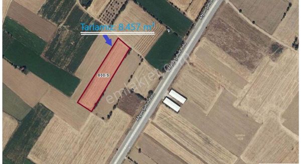 İlbey // Şuhut "akçeşme" Mevkii Afyon Yoluna Yakın Tarla