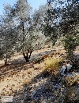 Sahil Atlıdere 655 M2 Arazi