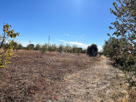 Yeni Kurulacak Organize Sanayi Bölgesinin Dibinde Kaçırılmayacak Fırsat