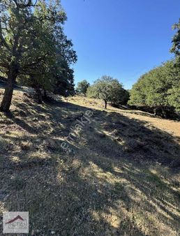 Notıas Real Estate Gayrimenkul'den 4.888m2 Ana Yola Yakın Tarla