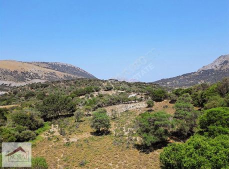 Notias Real Estate Gayrimenkul'den Tarla