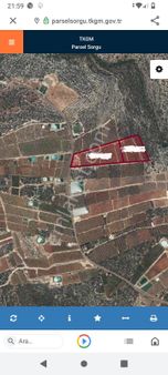 Ayaş 24 Dönüm Limon 🍋 Bahçesi