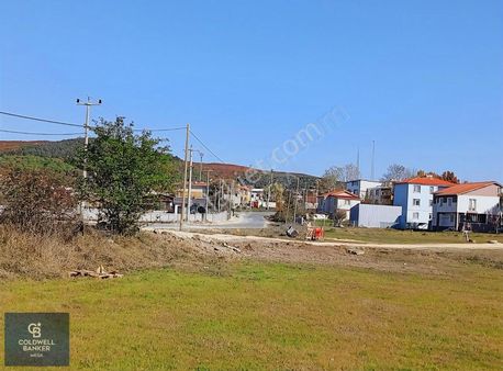 Binkilic Köy Yanı Müstakil Tarla