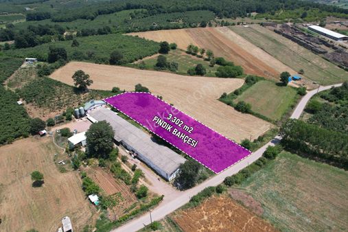 Söğütlü Yeniköy'de Asfalta Cepheli 3.300 M2 Güzel Konumda Bahçe