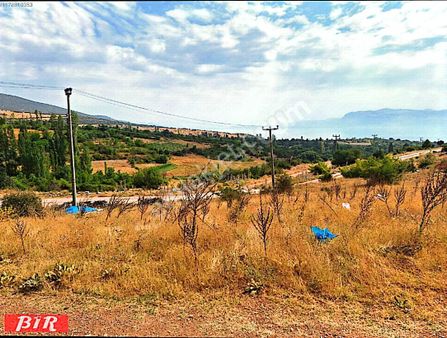 Satlık Arsa İmarlı Barla Egridir Isparta