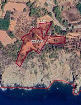 Anchor Gayrimenkul'den Demirören Mahallesin'de Denize 100 Metre Satılık Tarla