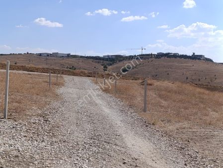 📌nenek’de Yatırım Fırsatı 📌
