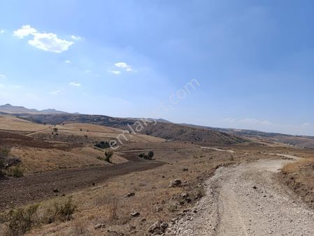 📌nenek’de Yatırım Fırsatı📌