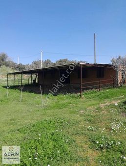 Aydın Germencik De 17 Dönüm İçerisinde Evi Olan Satılık Bağ