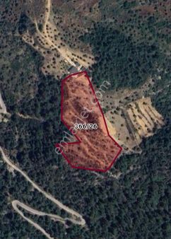 Selda Kozalı'dan Menteşe Zeytinköy Deniz Manzaralı Satılık Tarla