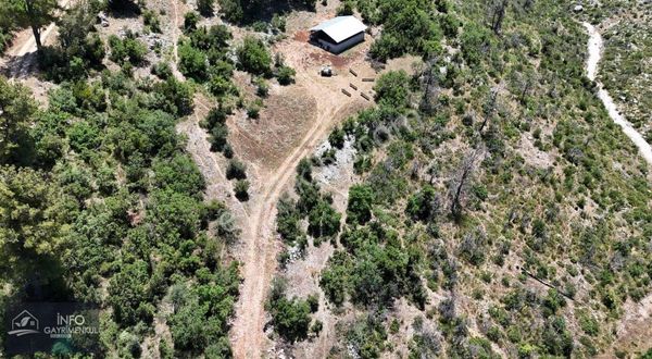 İnfo Gayrimenkul Yaylalan Mah Satılık Tarla 11.770 M2 Tek Tapu