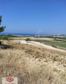 Arsuz Haymaseki’de Kooperatif Hisseli Satılık Arazi