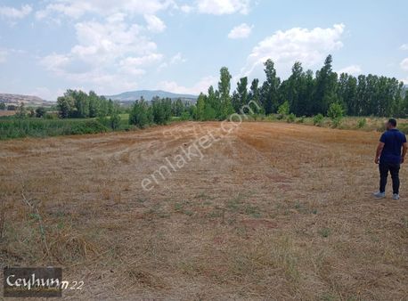 Tokat Havaalanı Terminal Binası Karşısında 4580m2müstakil Tapulu