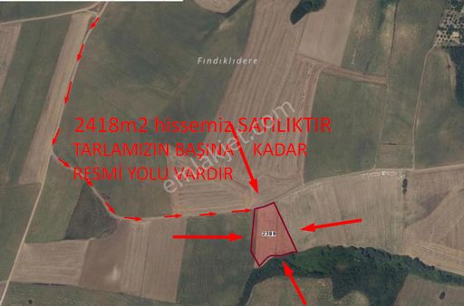 Tekirdağ Muratlı Yeşilsırt Mh De Satılık 2418 M2 Hisseli Tarla