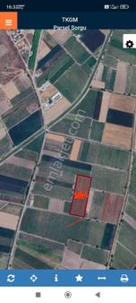 Manisa Tilkiköyde Satılık Bağ