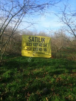 Goldlıfe Gayrimenkulden Çubuklu Köyünde Arazi