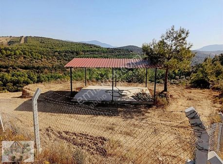 Abibo'dan Satılık Seferhisar Turabiyede Zeytinlik