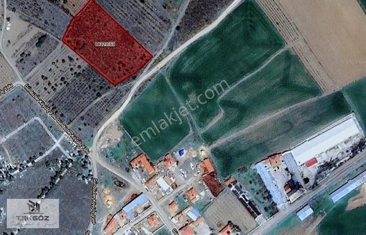 Tekgöz'den Gündüzler'de Satılık Köy Sınırında Tarla
