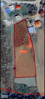 Kandıra Karaağaç Ta 8 Dönüm