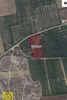 Tepebaşı Sakintepe’de Satılık Tarla