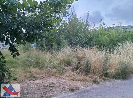 Çavuşta Çayırlar Cadesi Yakını 429 M2 Villa İmarlı Satılık Arsa