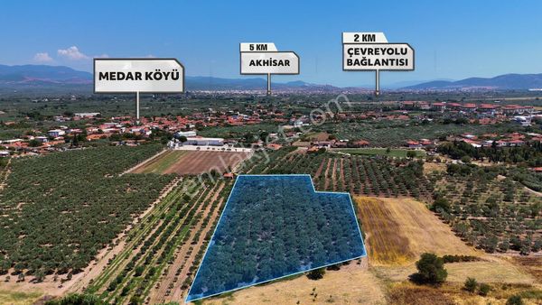 Medar Mah Satılık Zeytinlik (emin'den)