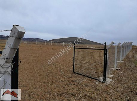 Satılık Arsa Haymana Çayraz Mevki Ankara