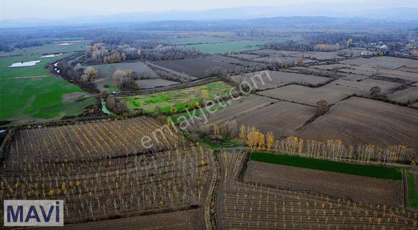 Remax'dan Sakaryanın En Büyük Merasının Yanında Fırsat Arazi