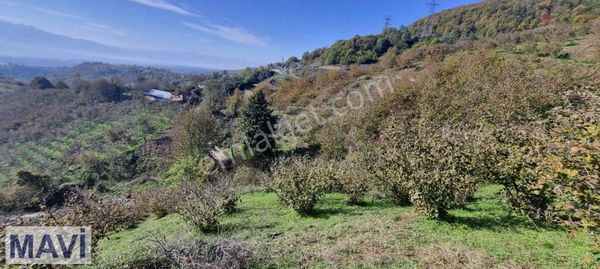 Remax Maviden Doğa Manzaralı İmarlı Arsa
