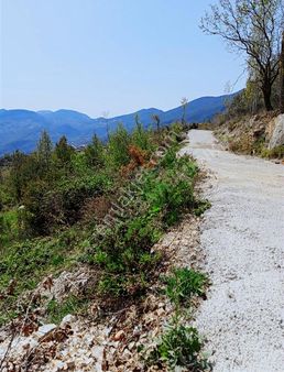 Alanya Bademağacı Satılık Tarla