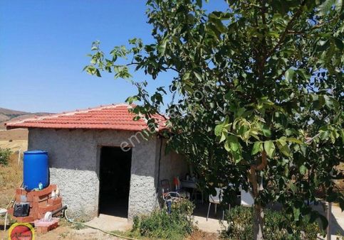 Eğriöz De Satılık 48.000 M2 Ceviz Bahcesi
