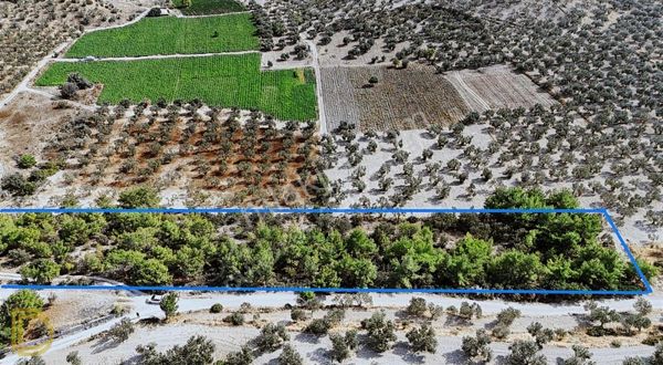 Çanakkale Ayvacık Gülpınar Köyü Yatırımlık 9482 M2 Tarla