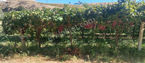 Satilik Bag Umut Ve Basogku Emlaktan